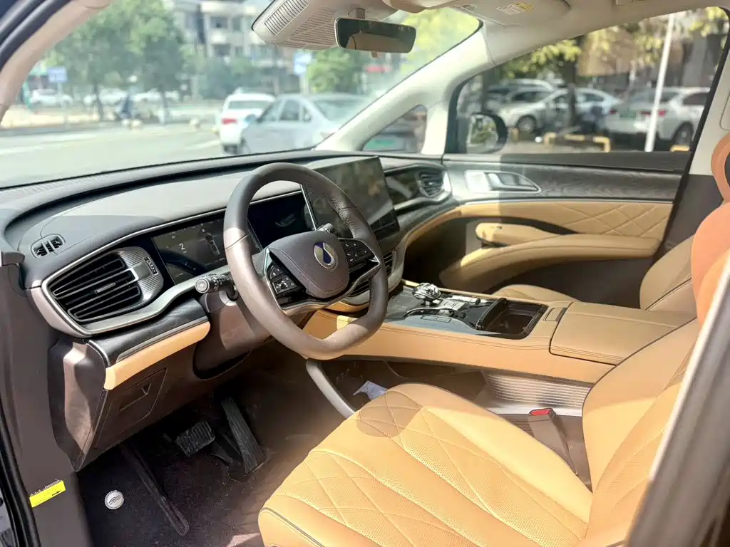 Denza D9 2025 2024 DM-i 980 AWD Premium