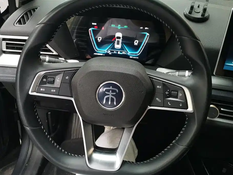 BYD SONGJIANG NEW ENERGY