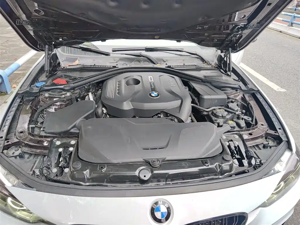 BMW 3 Series 2017 320Li Fashion фото 11