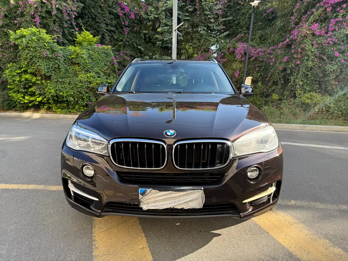 BMW X5 (Import) 2014 xDrive35i Leading фото 2