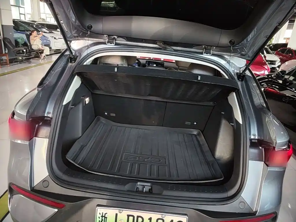 BYD Yuan PLUS 2025 2025 Model Intelligent Driving Edition 510KM Leading Version