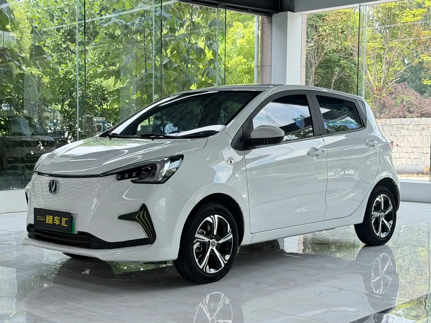2023 Changan Benben E-Star