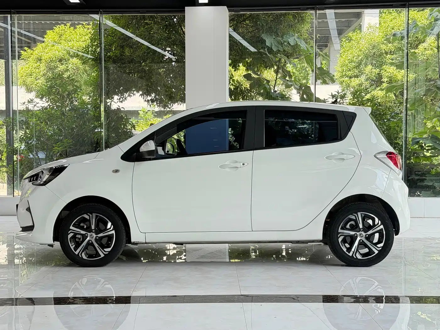 2023 Changan Benben E-Star