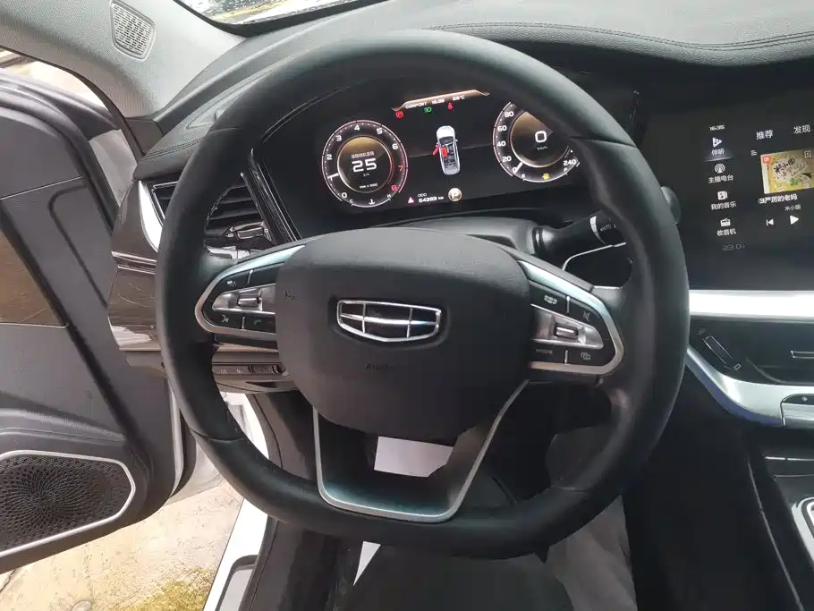 Geely Borui 2021 2021 1.8T Pilot Edition