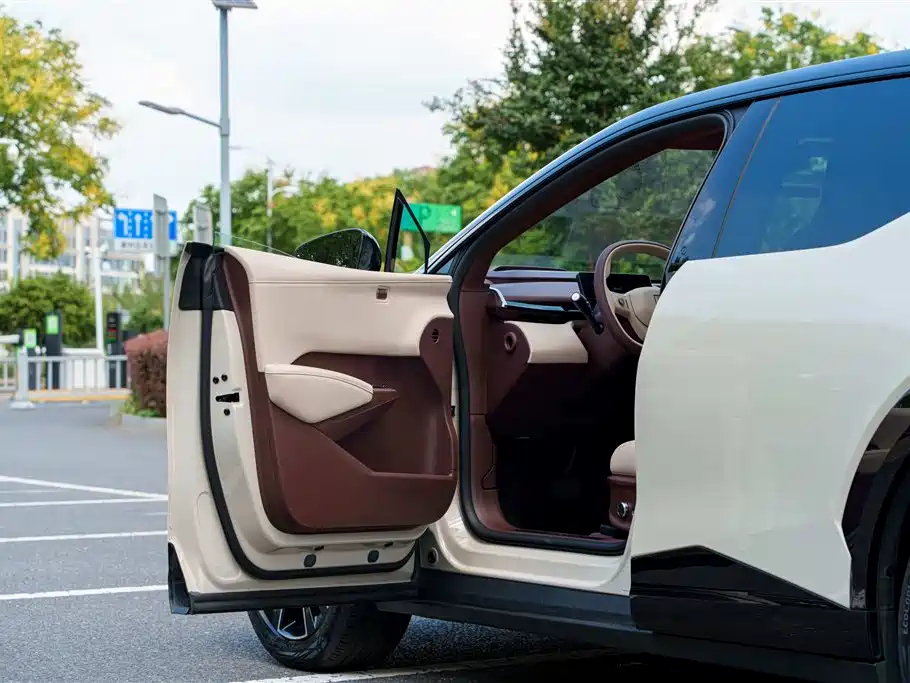 ZEEKR X 2024 2023 RWD YOU Edition 4-seater