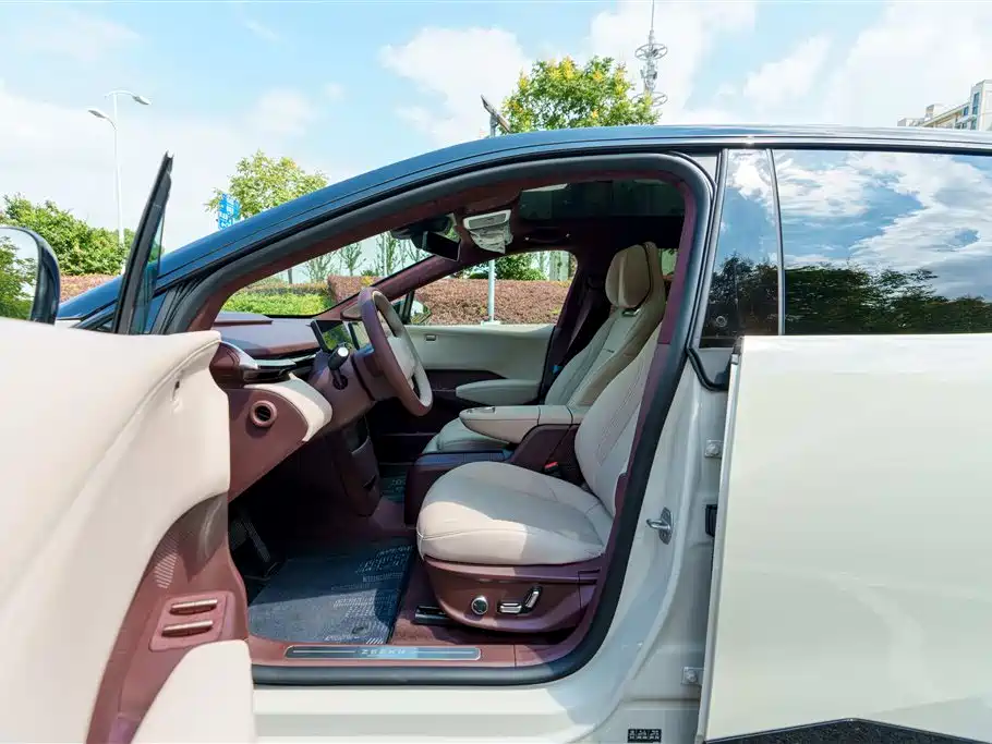 ZEEKR X 2024 2023 RWD YOU Edition 4-seater