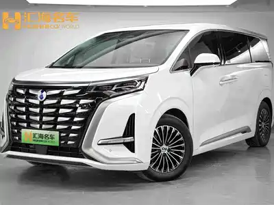 Denza D9