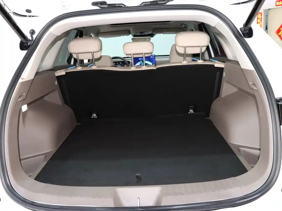 Haval H6L 2025 2026 2.0T Standard Model
