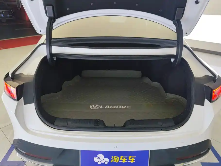 Changan Yida 2023 2023 Blue Whale NE 1.5T GDI DCT Pilot