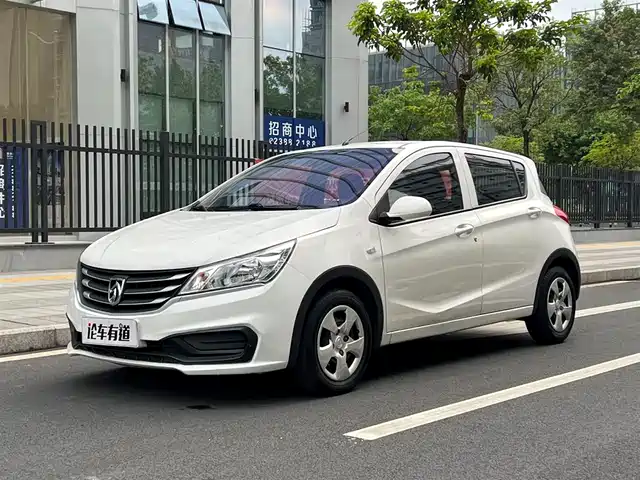 BAOJUN 310