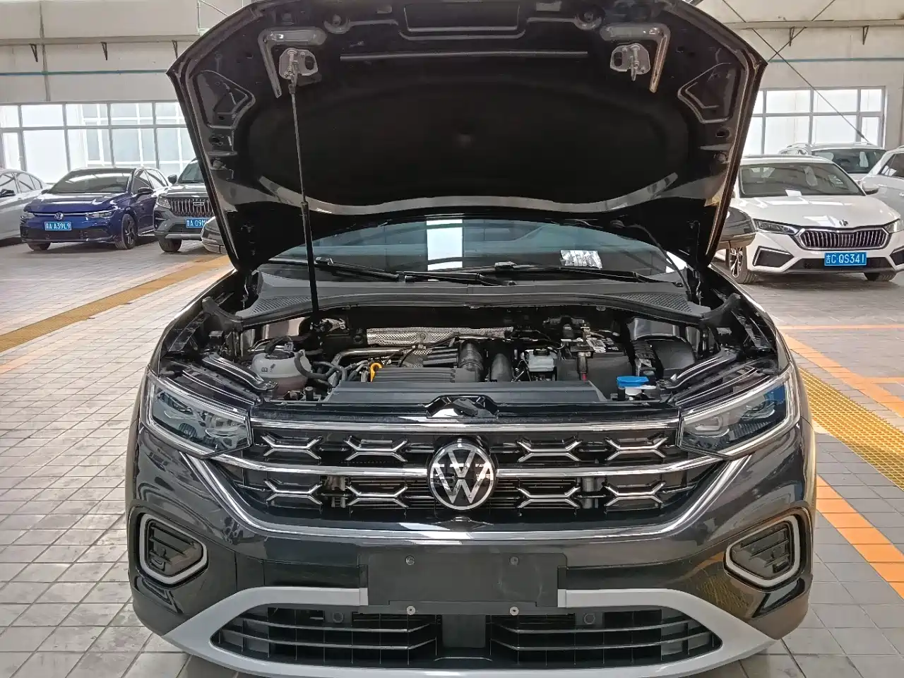 VOLKSWAGEN TANYUE