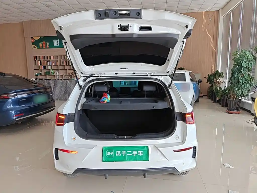BYD e2 2019 2019 Long Range Yao·Luxury Model