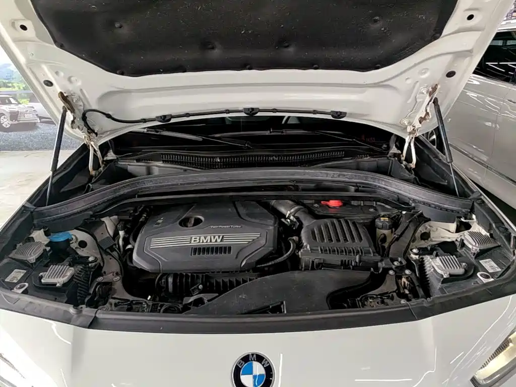 BMW X2 (Import) 2019 2019 sDrive20i M Off-Road Package China VI