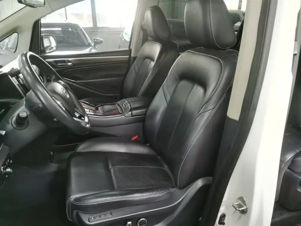GAC Trumpchi Trumpchi M8 2021 Leading Show Series 390T Ultimate Edition фото 15