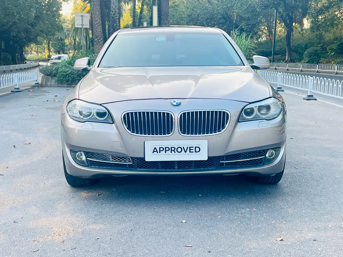 BMW 5 Series 2013 520Li Elegance