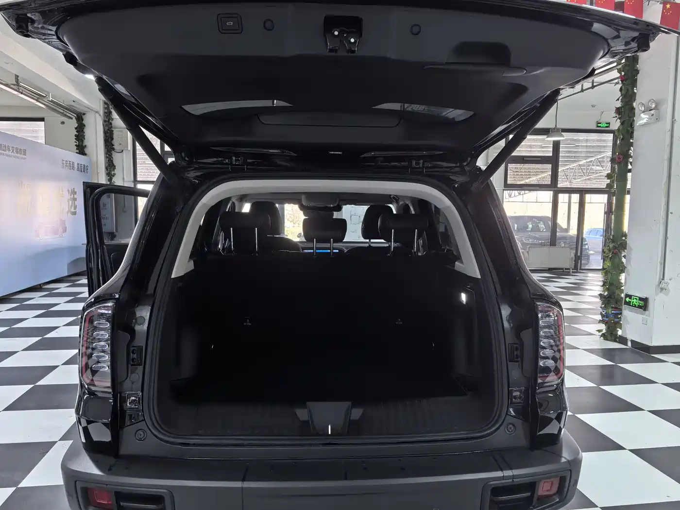 Haval Big Dog 2024 1.5T DCT Border Collie Edition фото 16
