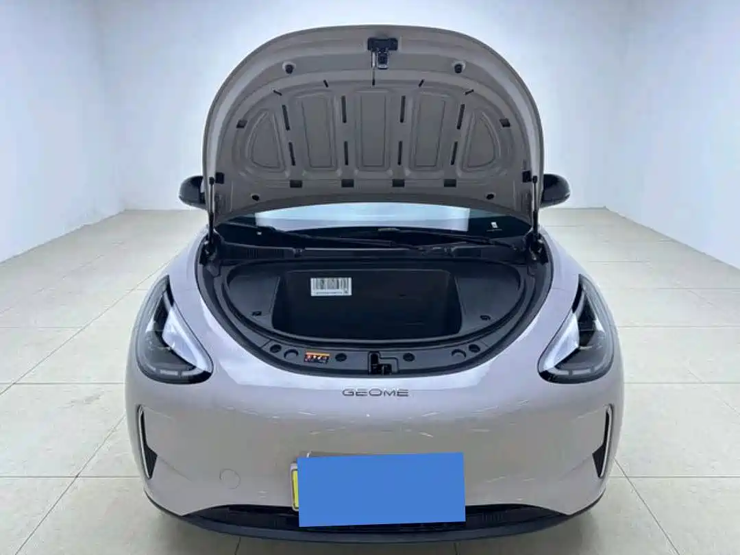 Geely Galaxy Starry Wish 2026 2026 Model 310km Dream Edition