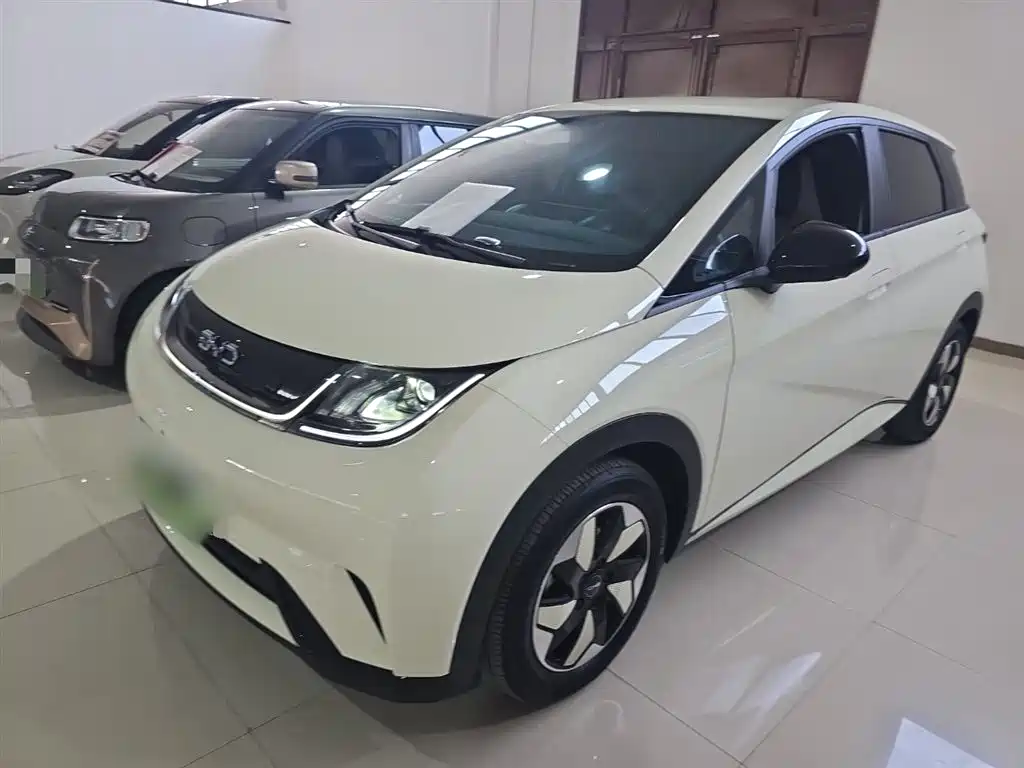 BYD Dolphin 2025 420km Freedom Edition