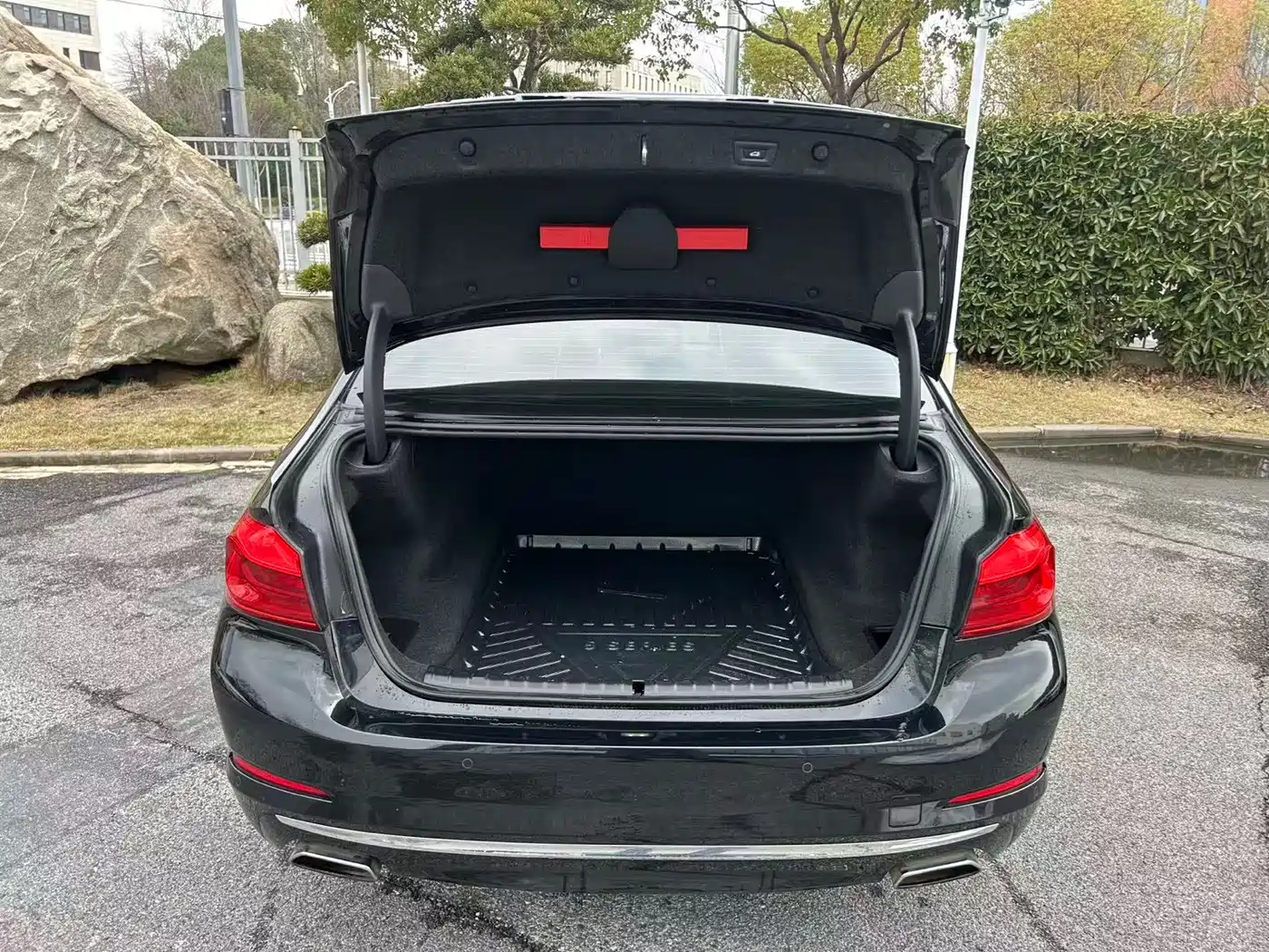 BMW 5 Series 2020 525Li Luxury Package фото 5
