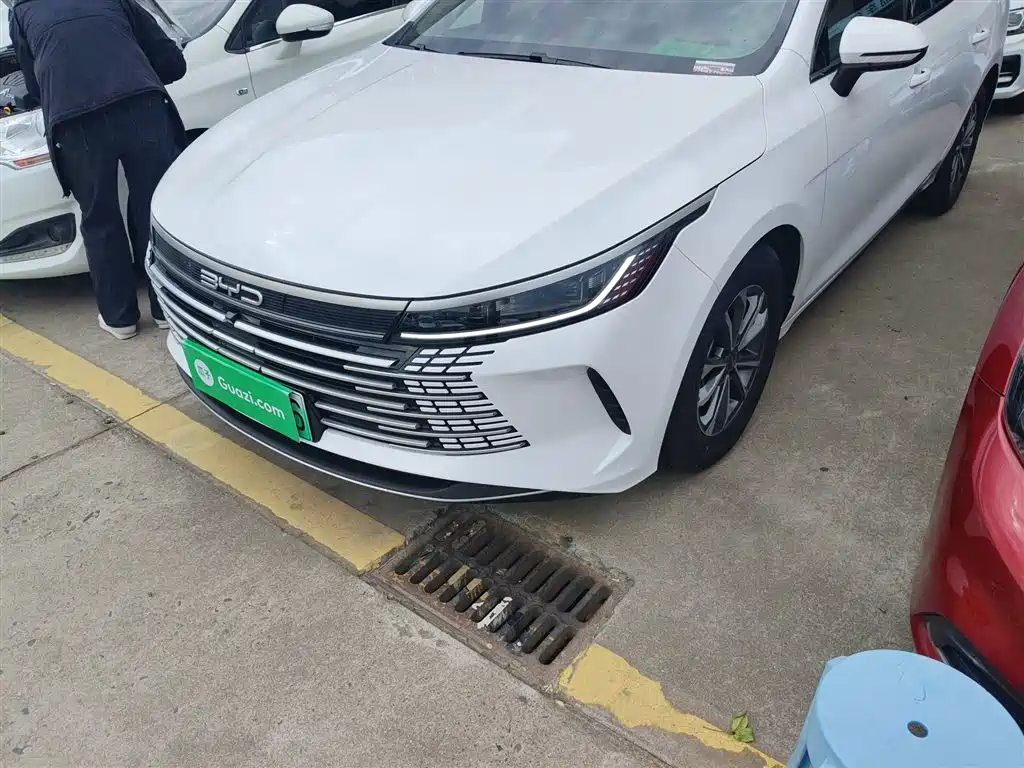 BYD Destroyer 05 2024 Glory Edition DM-i 55KM Luxury фото 24