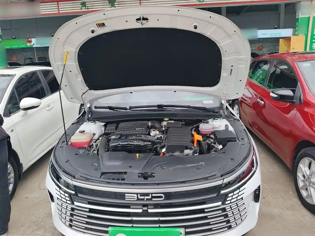 BYD Destroyer 05 2024 Glory Edition DM-i 55KM Luxury фото 20