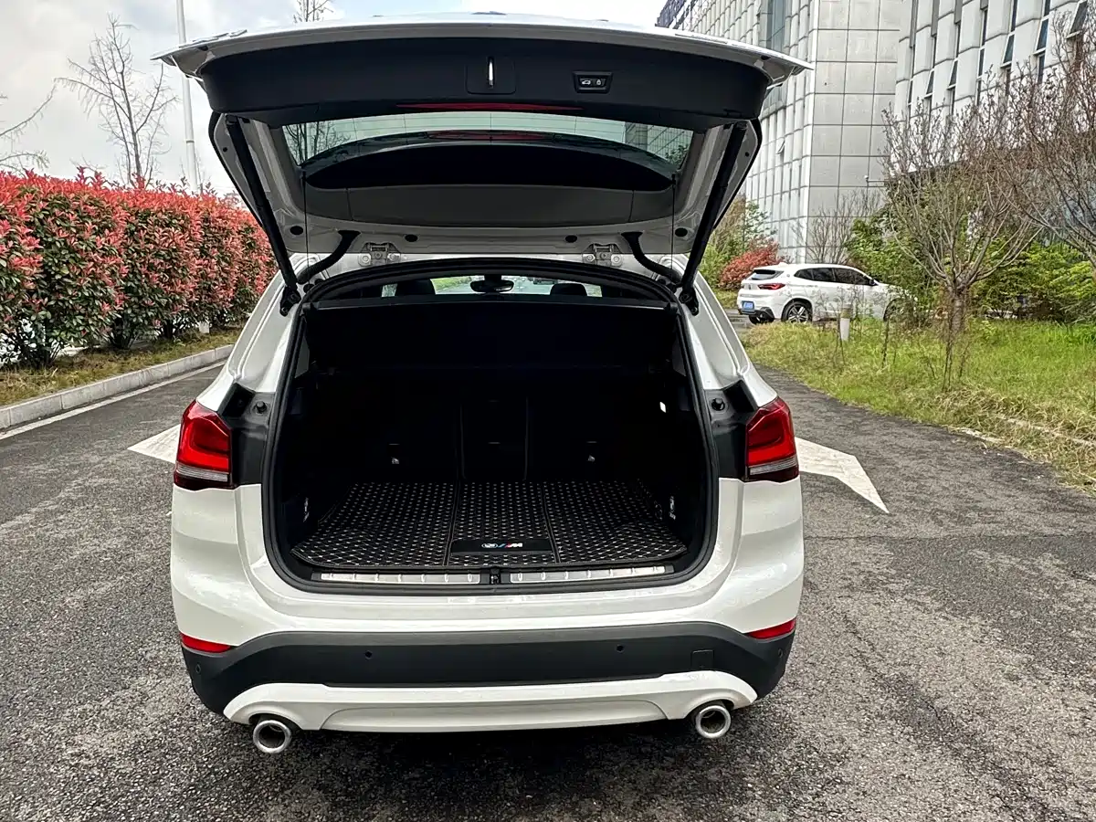 BMW X1 2020 sDrive25Li Leading Model фото 9