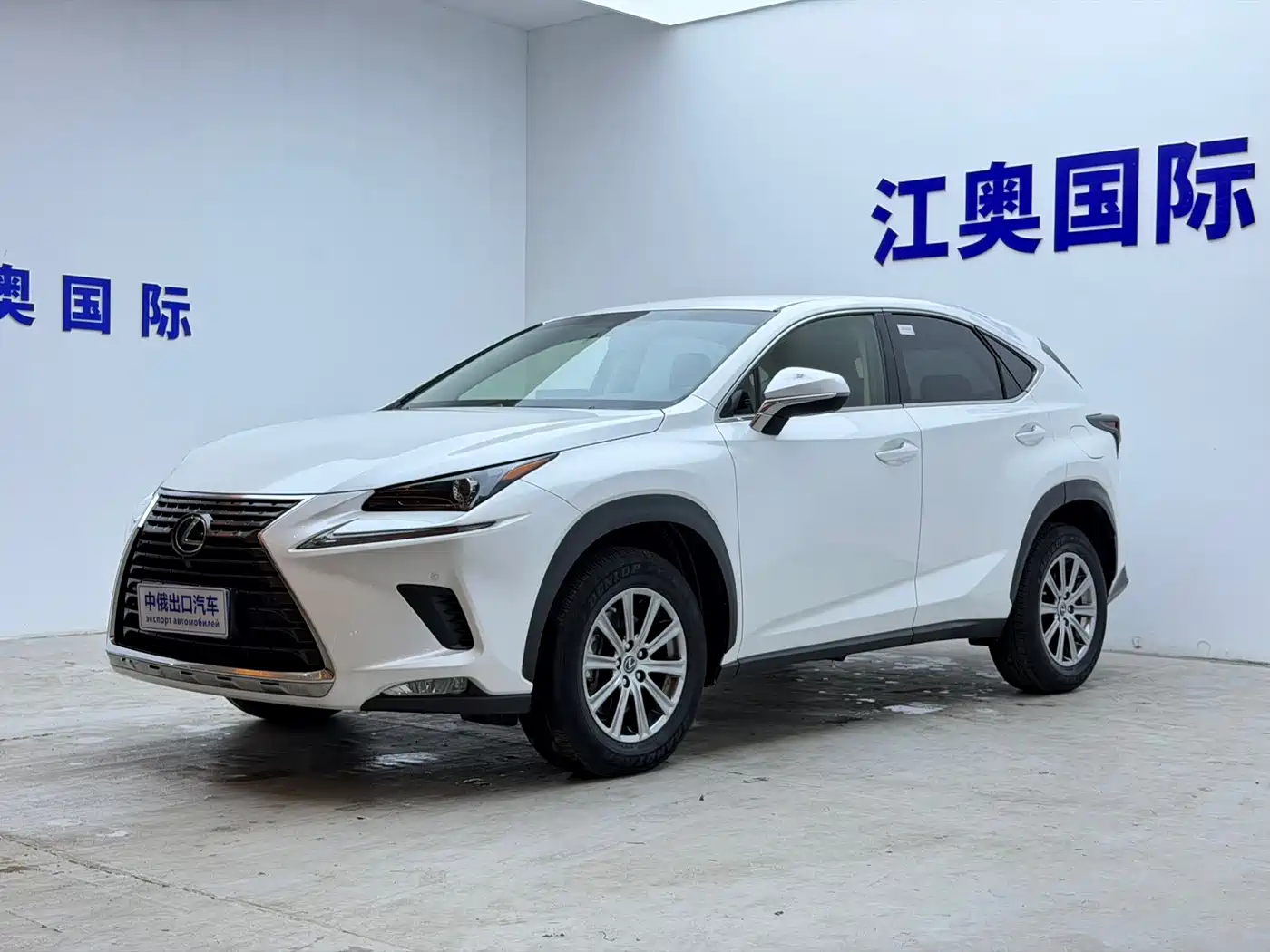 Lexus NX 2018 Model 200 FWD Fengxing Edition China V