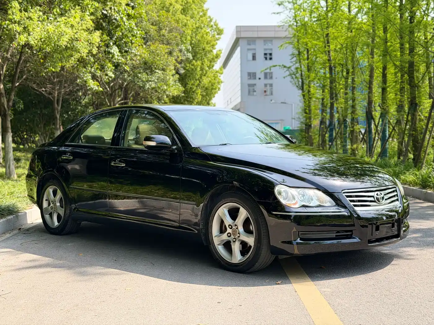 Toyota Reiz 2008 2.5S Special Commemorative Edition фото 14