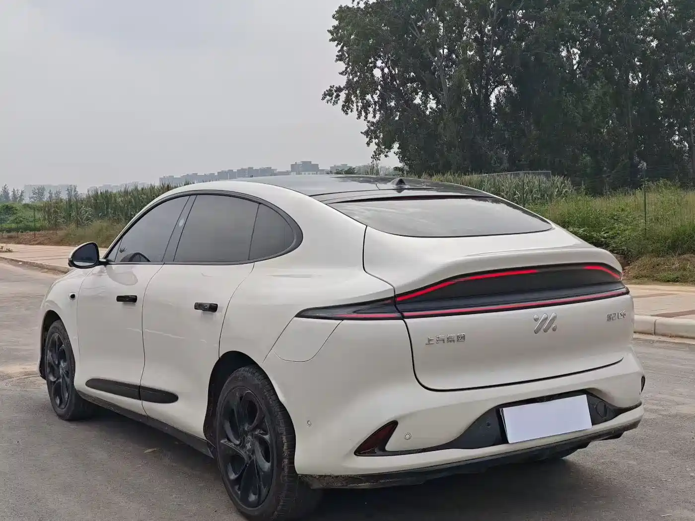 ZHIJI AUTOMOBILE ZHIJI LS6