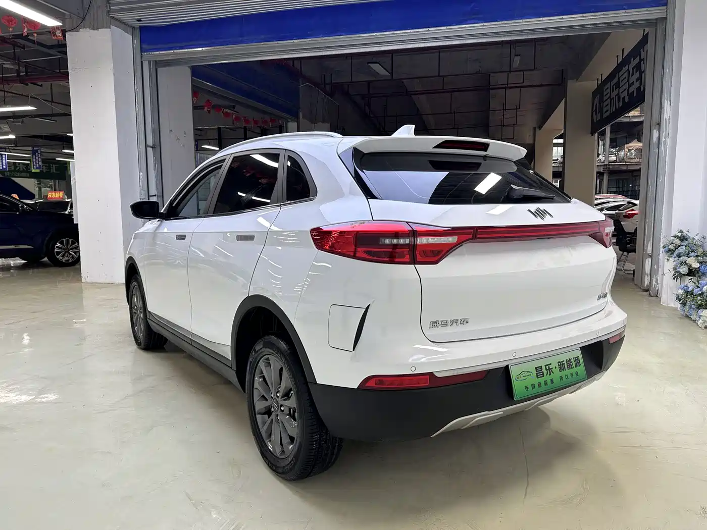 Weltmeister WEIMA EX5