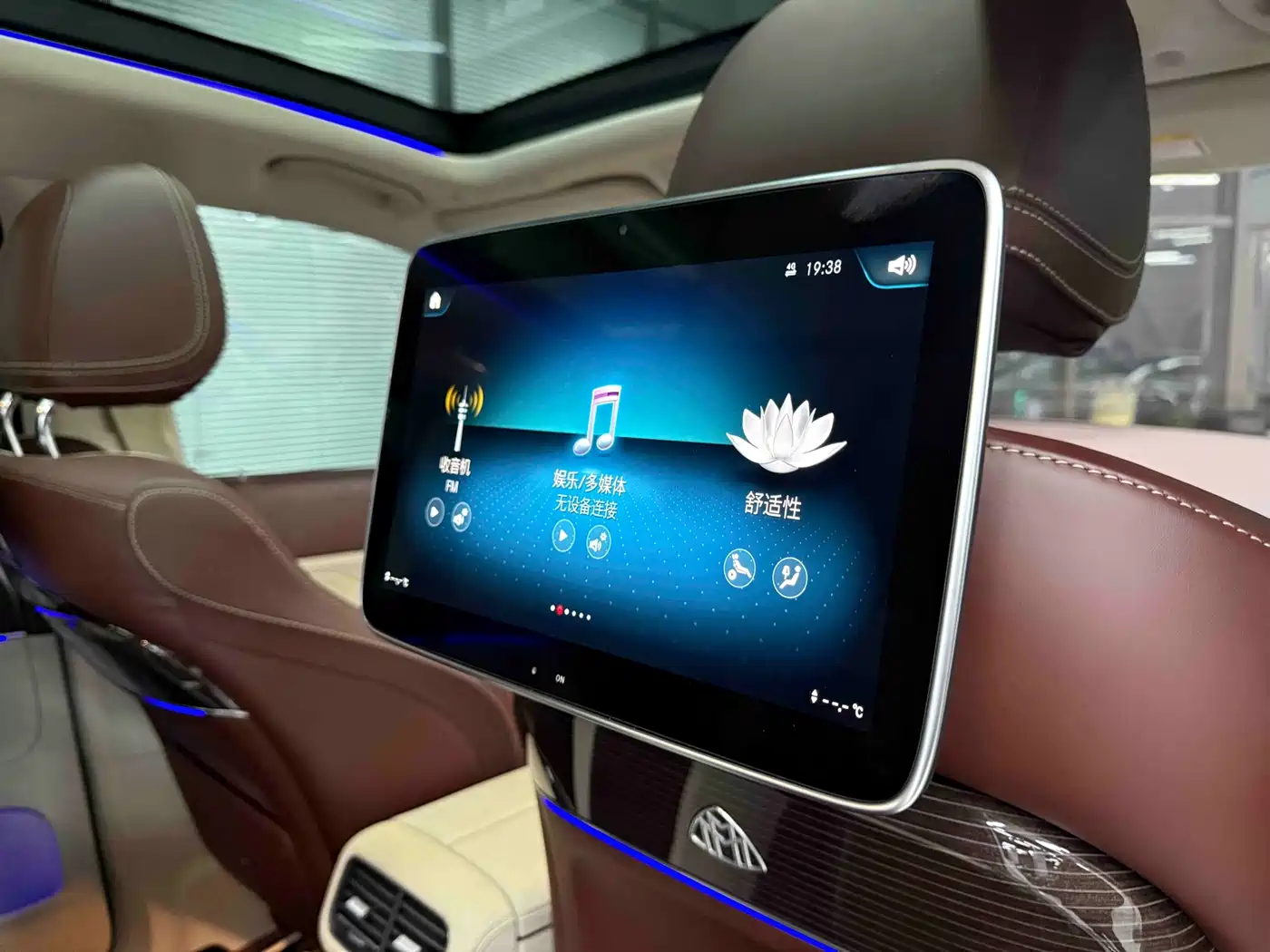 Mercedes-Benz Maybach GLS 2021 GLS 480 4MATIC фото 21