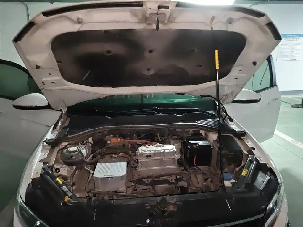 Volkswagen Bora Pure Electric 2020 Model Shang фото 11