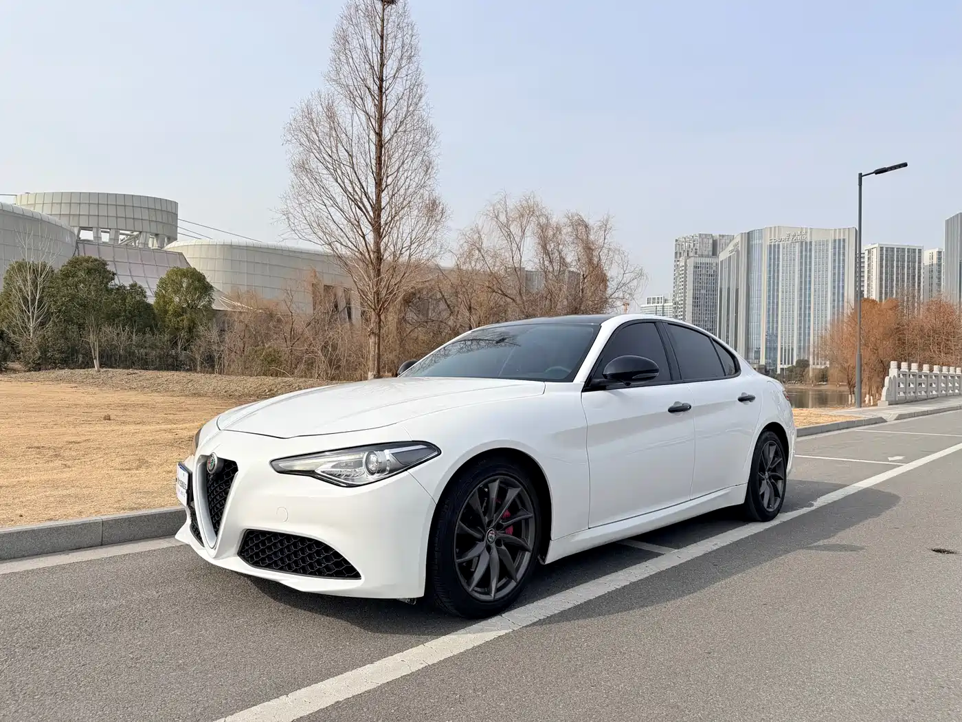 Alfa Romeo Giulia 2018 2017 2.0T 200HP Luxury Edition