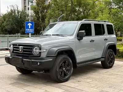 Tank 300