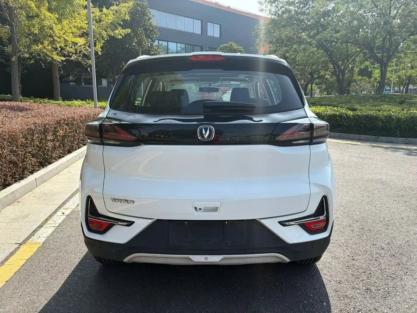 Changan New Energy E-Pro 2020 2020 Ultimate Power Edition