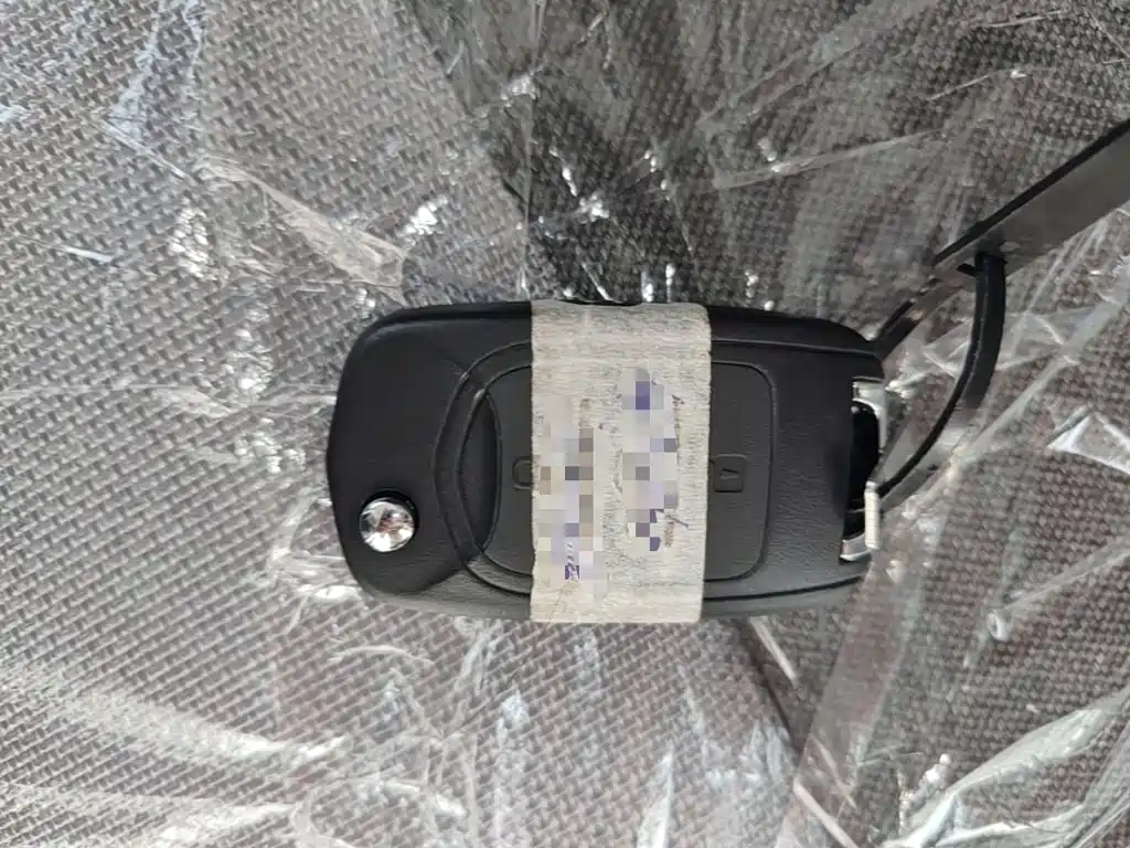 Wuling Motors Wuling Zhiguang NEV 2026 2025 Model 305km Base Version