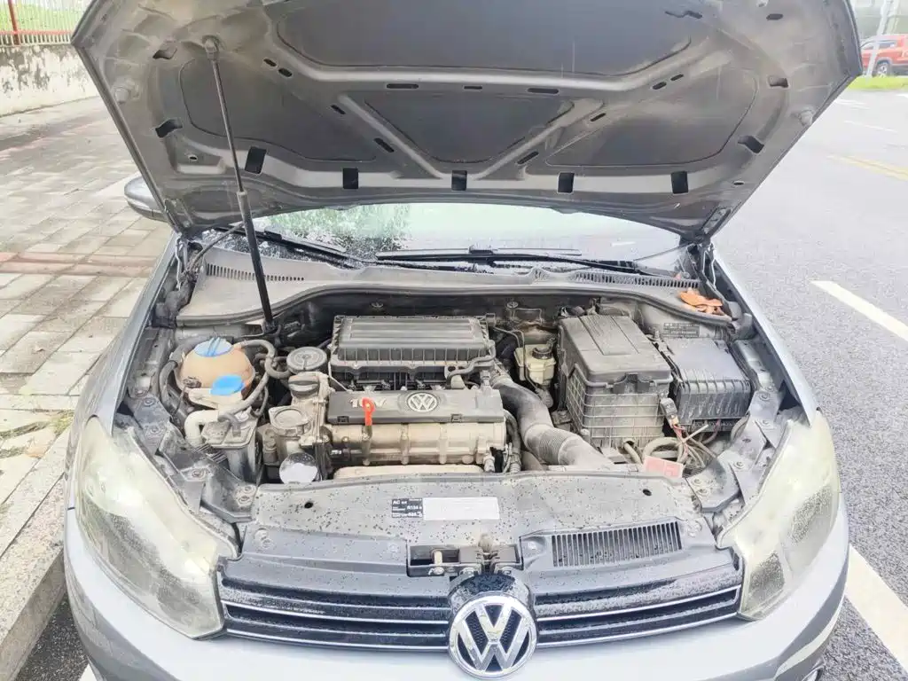 Volkswagen Golf 2010 2010 1.6 Manual Fashion