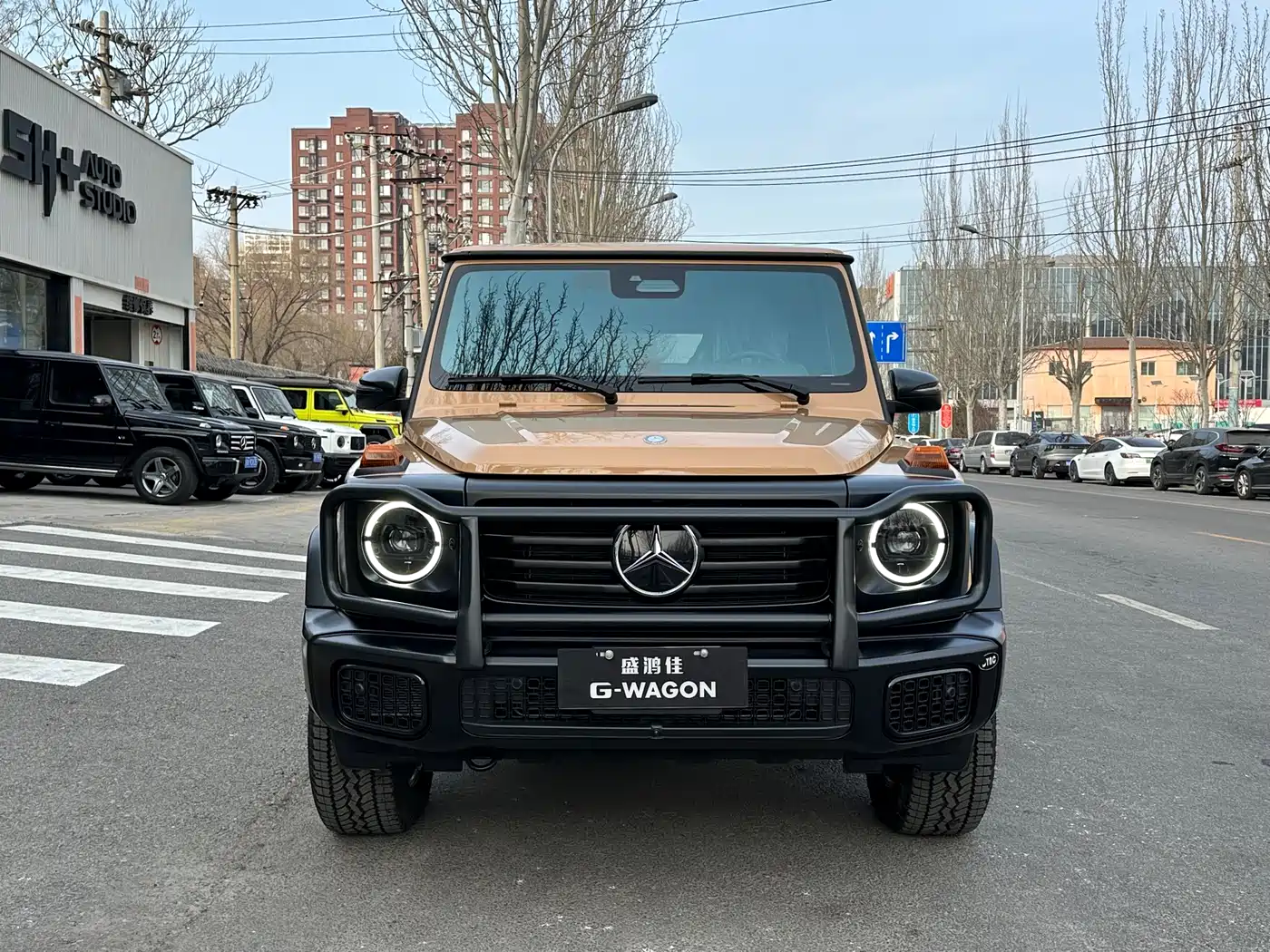 Mercedes-Benz G-Class 2025 G 500 фото 3