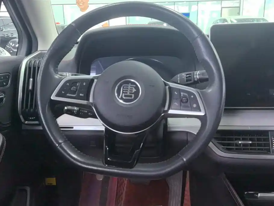 BYD Tang New Energy 2019 EV600D 4WD Smart Connected Creation Leader Type фото 15