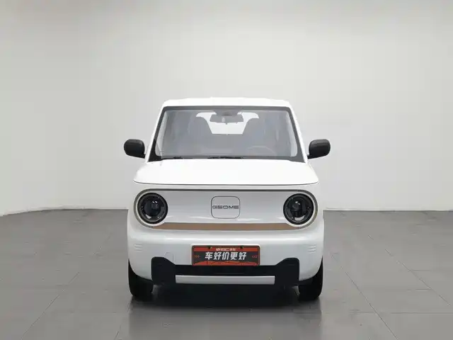 Geely Galaxy Panda 2024 Panda mini 200km Endurance Bear — фото 3