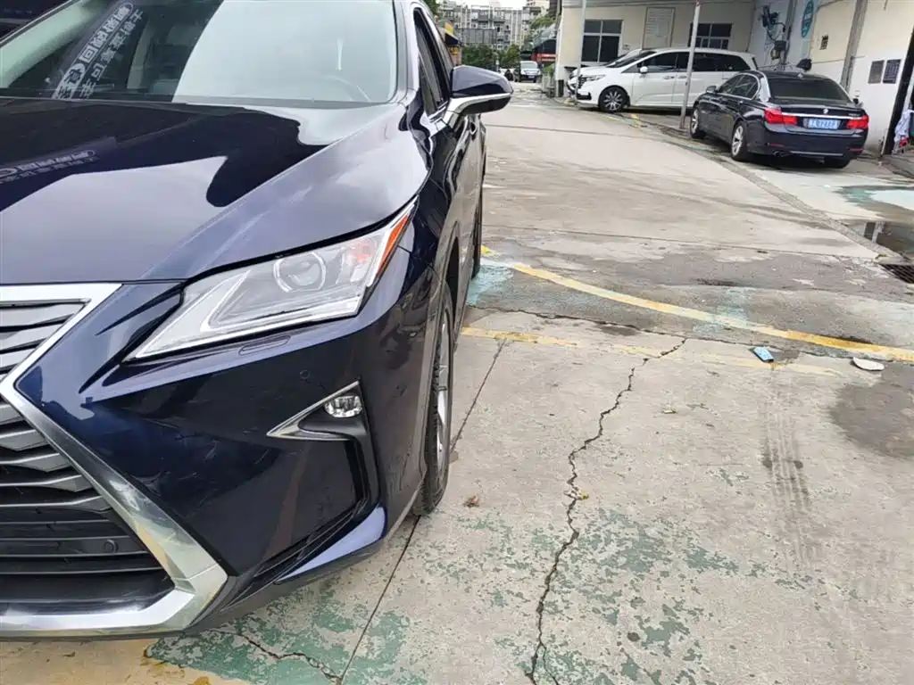 Lexus RX 2016 300 2WD Elite Edition (China V) фото 23