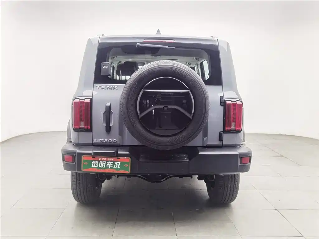 Tank 300 2023 Off-Road Edition 2.0T Conqueror фото 4