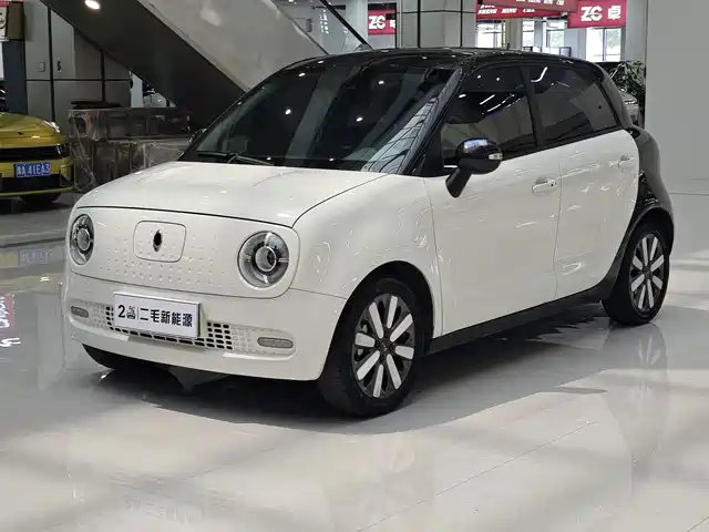  Ora Ora Black Cat 2021 405km Long Range Model