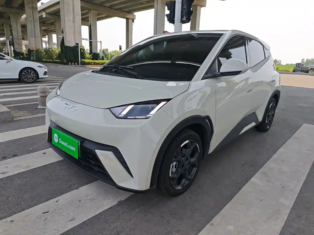 BYD Seagull 2025 305km Freedom