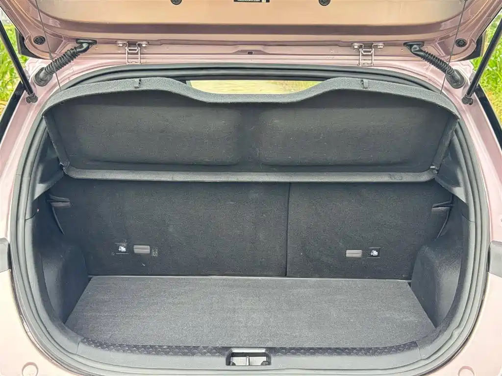 BYD Dolphin 2025 420km Fashion Edition фото 11
