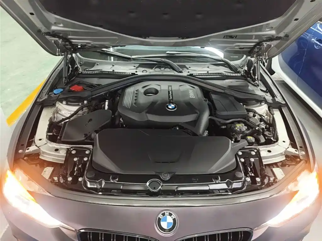 BMW 3 Series 2019 320Li Fashion Type фото 20