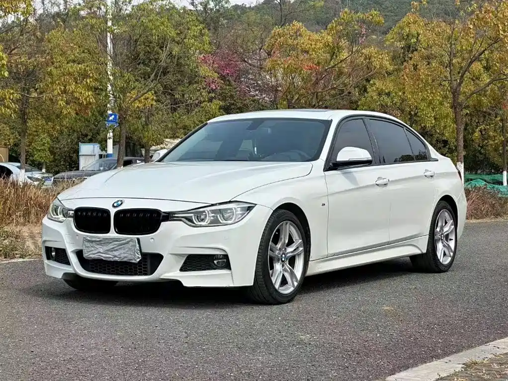 BMW 3 Series 2017 320Li M Sport