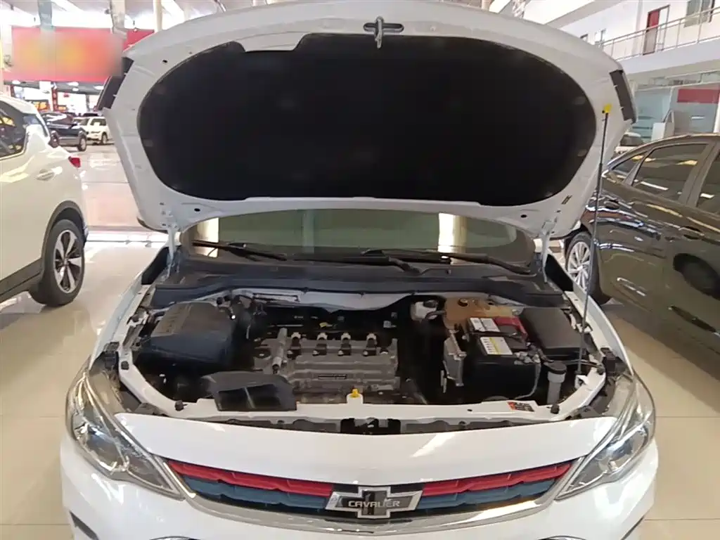 Chevrolet Cavalier 2019 320 Auto Sunroof Enjoyment Edition фото 20