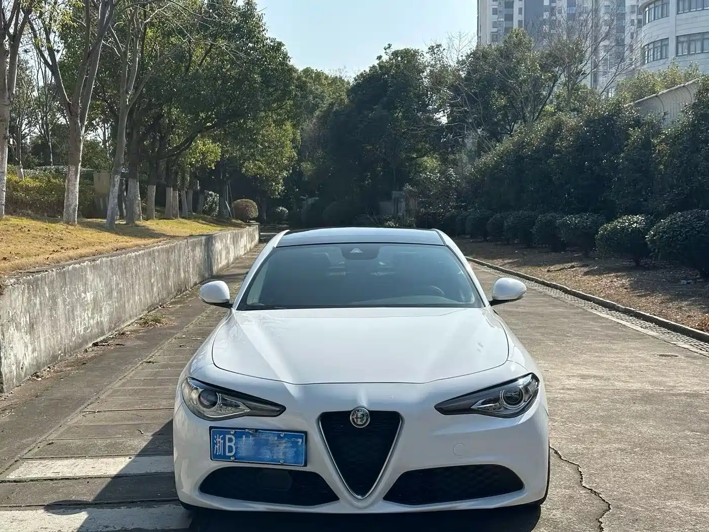 ALFA ROMEO GIULIA