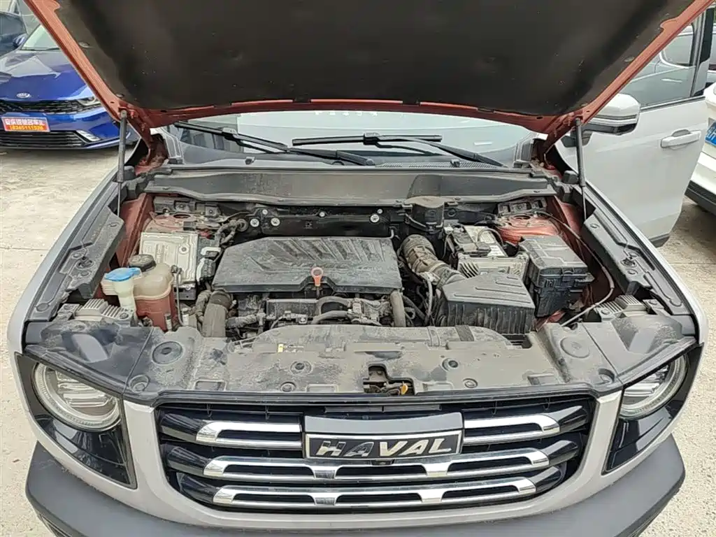 Haval Big Dog 2021 1.5T DCT 2WD Border Collie - Wangcai Edition фото 20